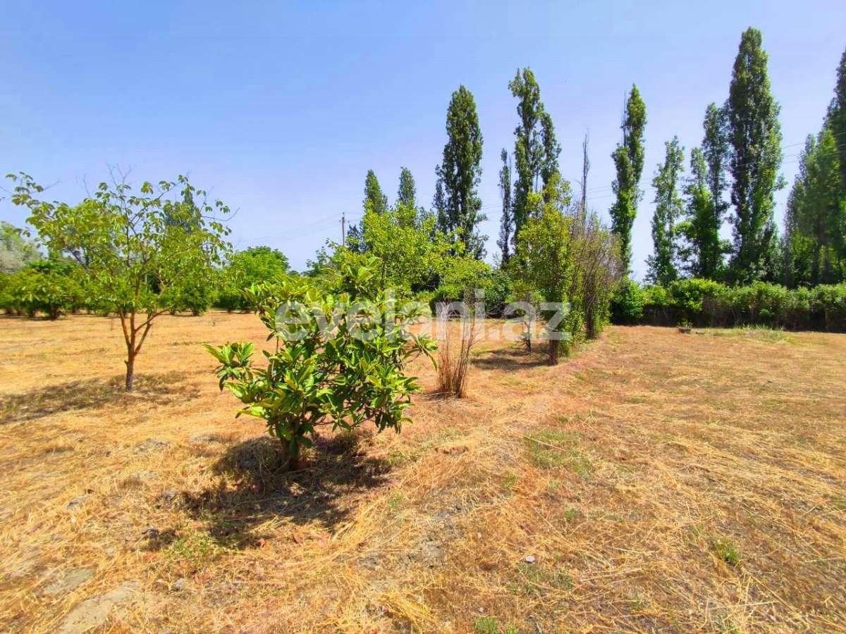 Satılır, torpaq, 28 sot, Göyçay