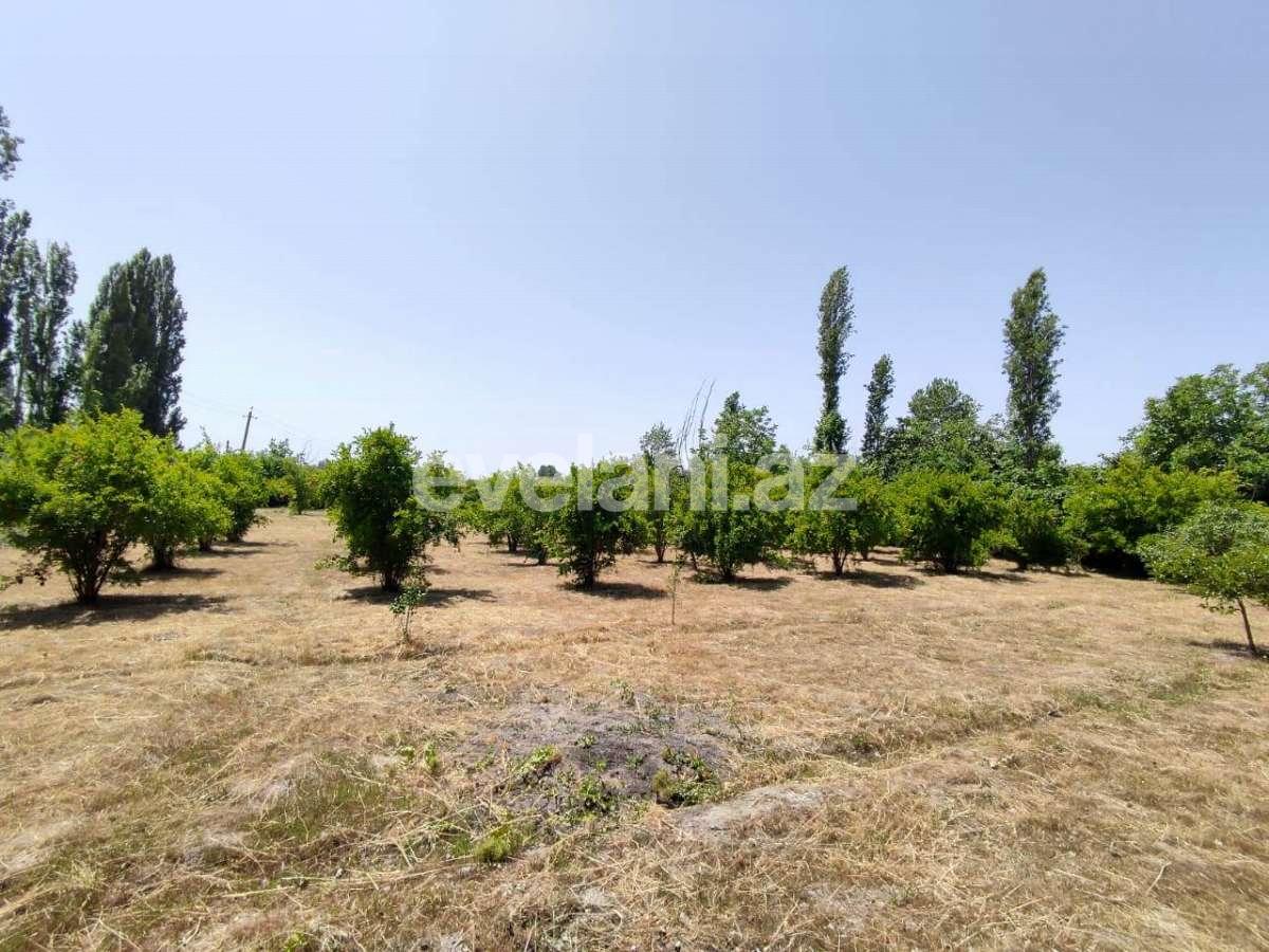 Satılır, torpaq, 28 sot, Göyçay