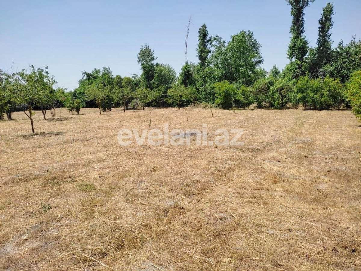 Satılır, torpaq, 28 sot, Göyçay