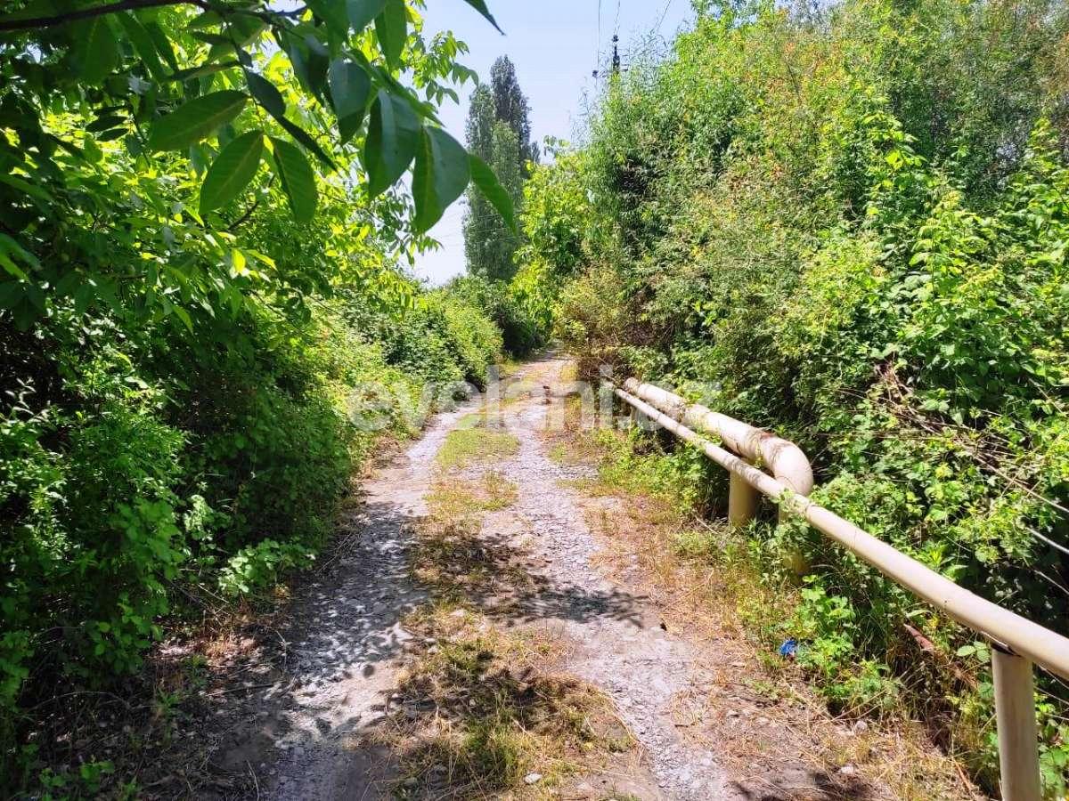 Satılır, torpaq, 28 sot, Göyçay