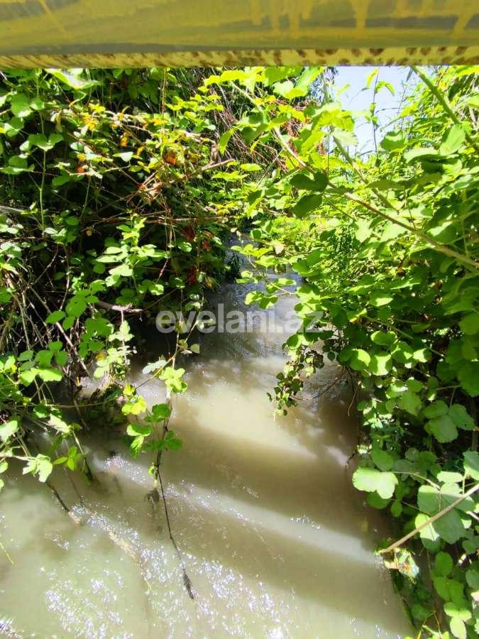 Satılır, torpaq, 28 sot, Göyçay