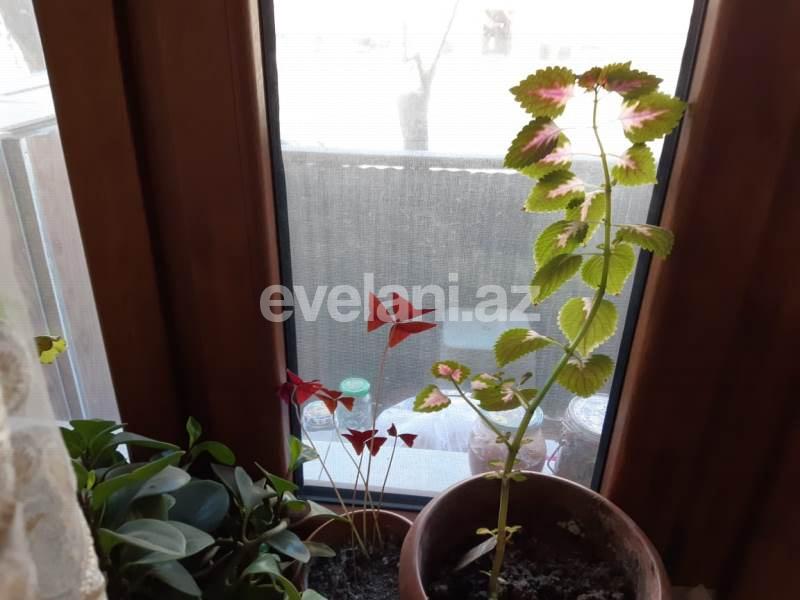 Satılır, köhnə tikili, 3 otaqlı, 70 m², Elmlər Akademiyası m.