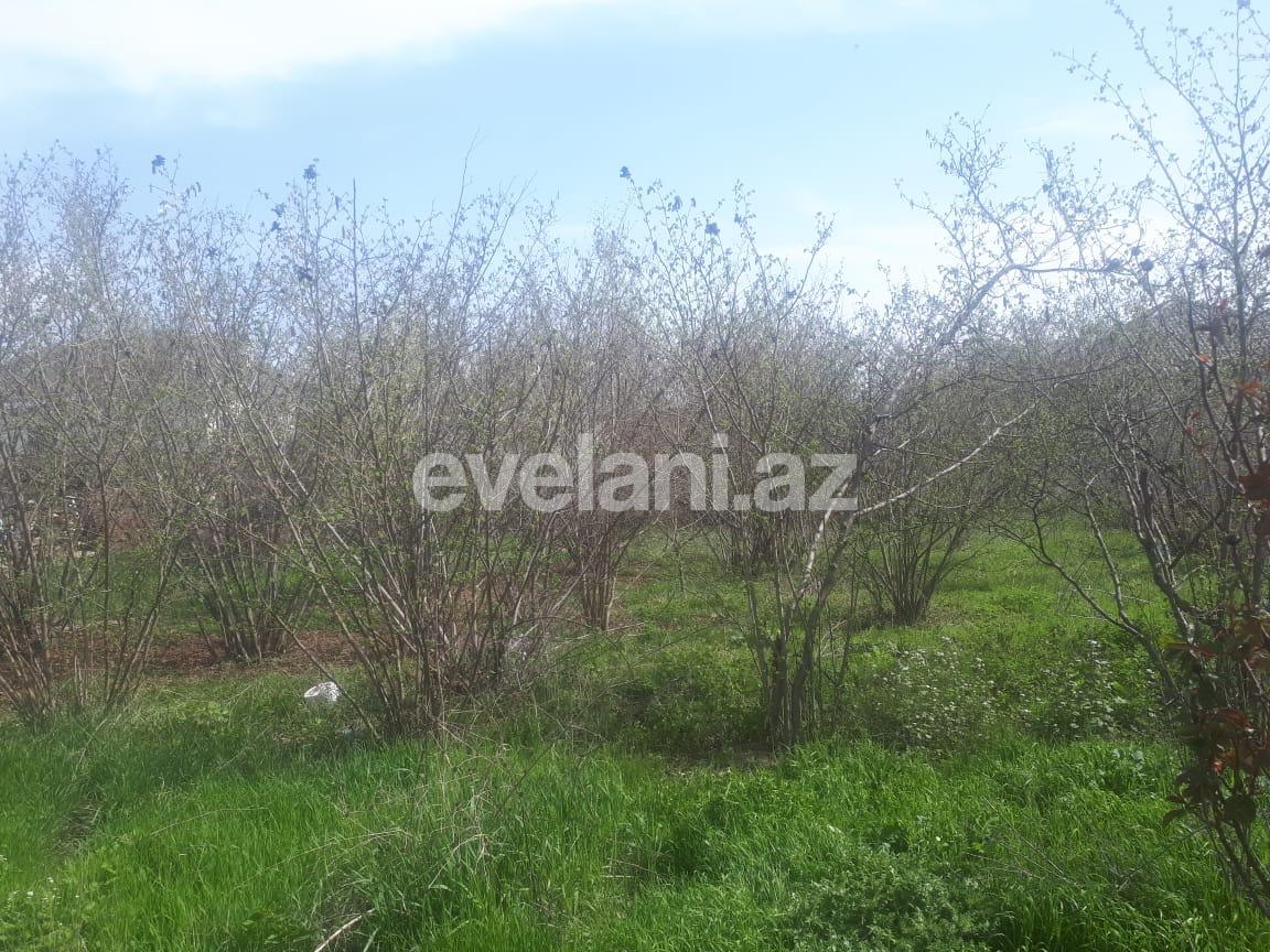 Sale, garden / house, 3 room, 100 m², Guba