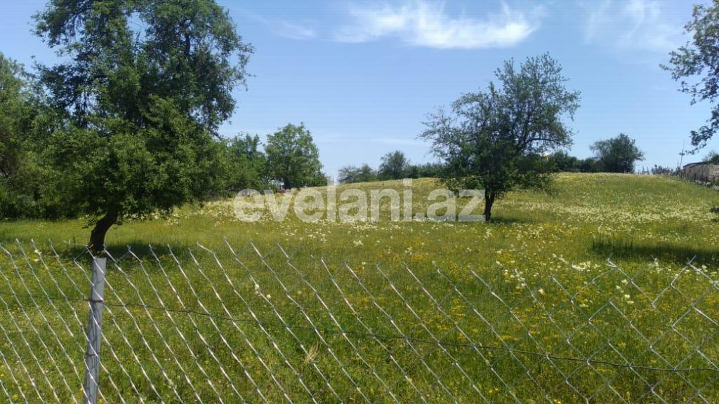 Satılır, torpaq, 110 sot, Qəbələ