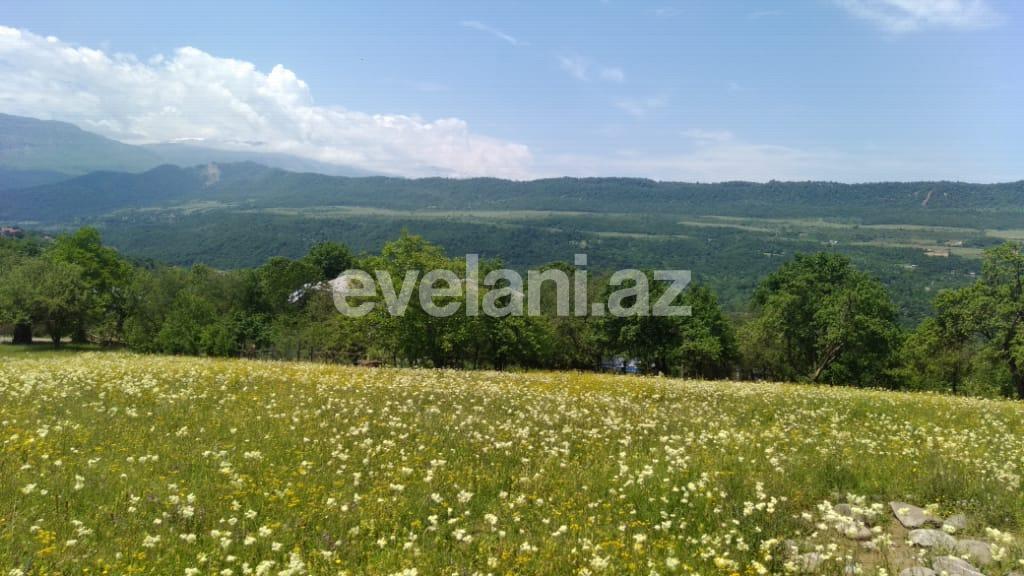 Satılır, torpaq, 110 sot, Qəbələ