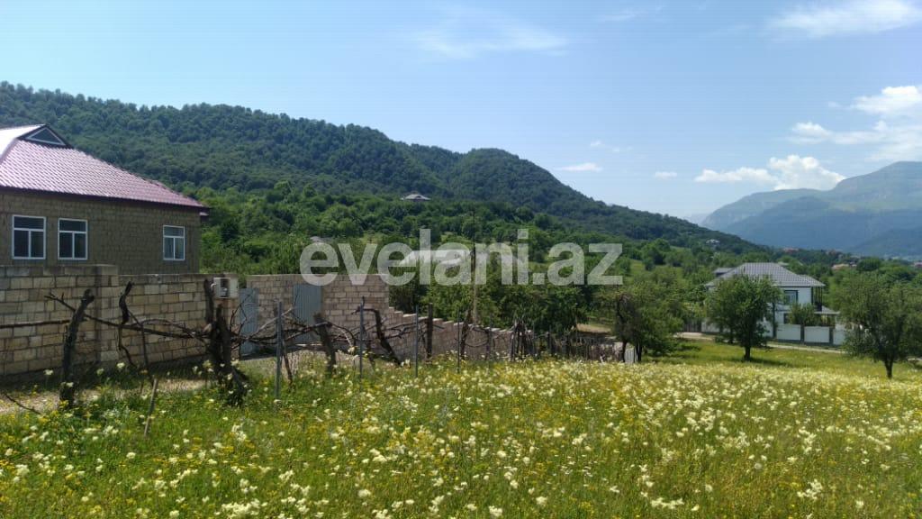 Satılır, torpaq, 110 sot, Qəbələ