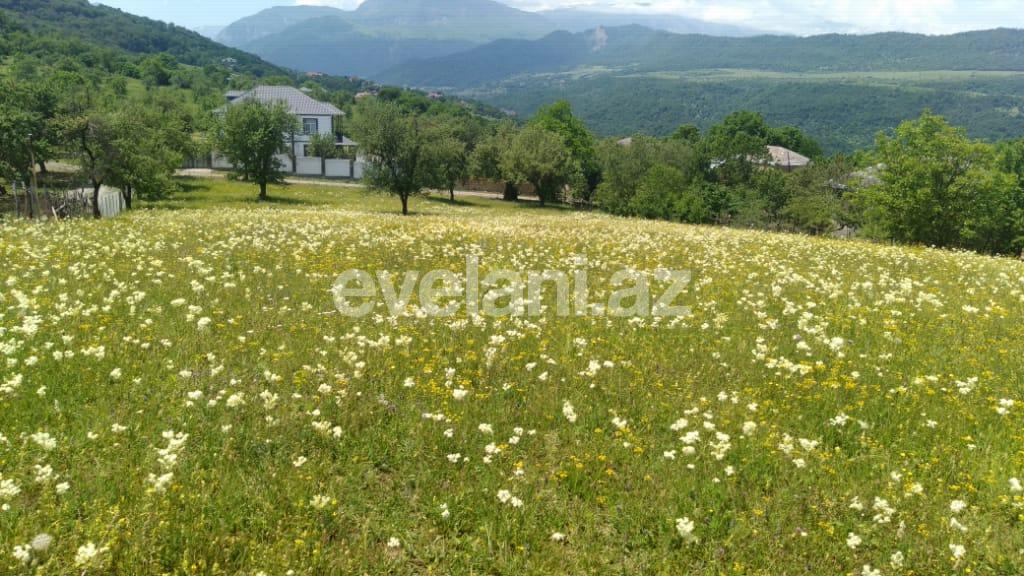 Satılır, torpaq, 110 sot, Qəbələ