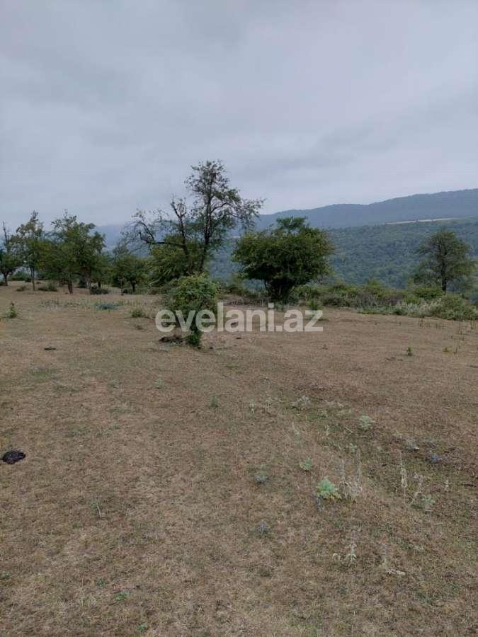 Satılır, torpaq, 193 sot, Quba