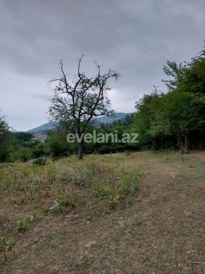 Satılır, torpaq, 193 sot, Quba