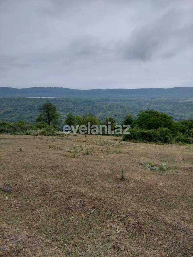 Satılır, torpaq, 193 sot, Quba