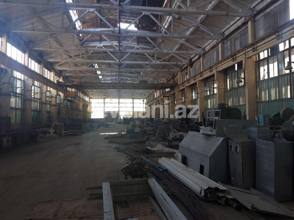 Rent, object, 720 m², Koroglu m.