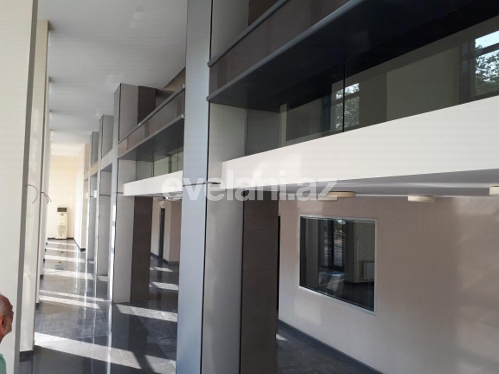 Sale, object, 600 m², Sabail r.