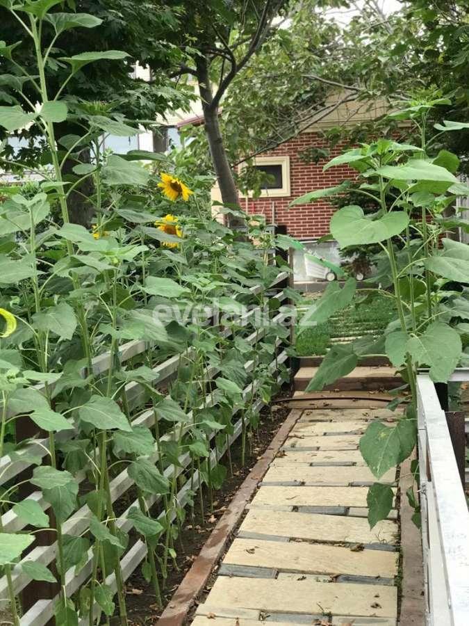 Satılır, villa, 6 otaqlı, 550 m², Bilgəh q.