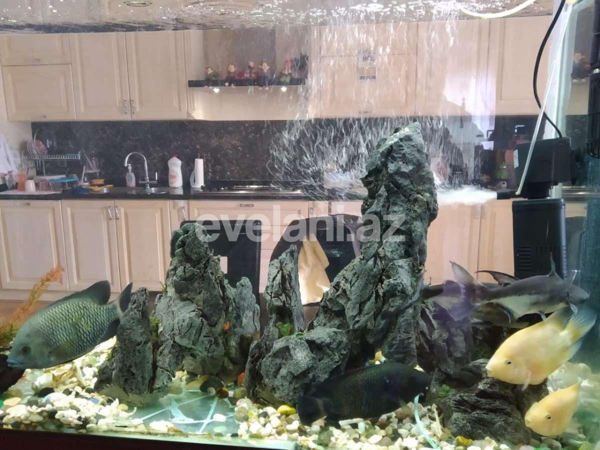 Satılır, yeni tikili, 4 otaqlı, 205 m², Nizami m.