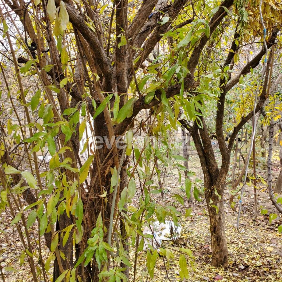 Sale, land, 5 ar, 20 yanvar m.