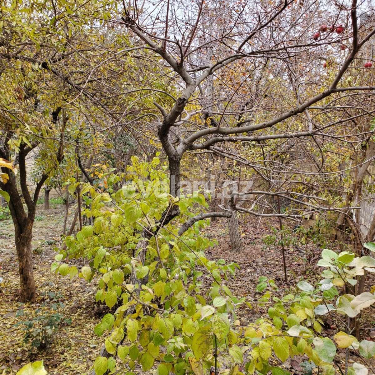 Sale, land, 5 ar, 20 yanvar m.