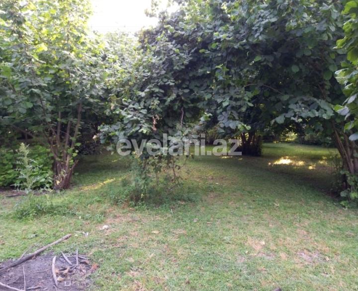 Satılır, torpaq, 150 sot, Qəbələ