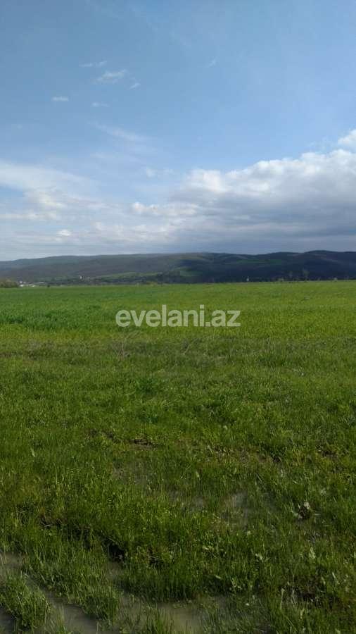Sale, land, 430 ar, Guba