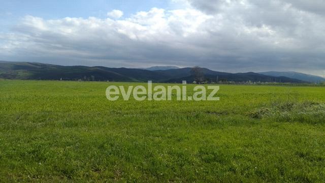 Sale, land, 430 ar, Guba