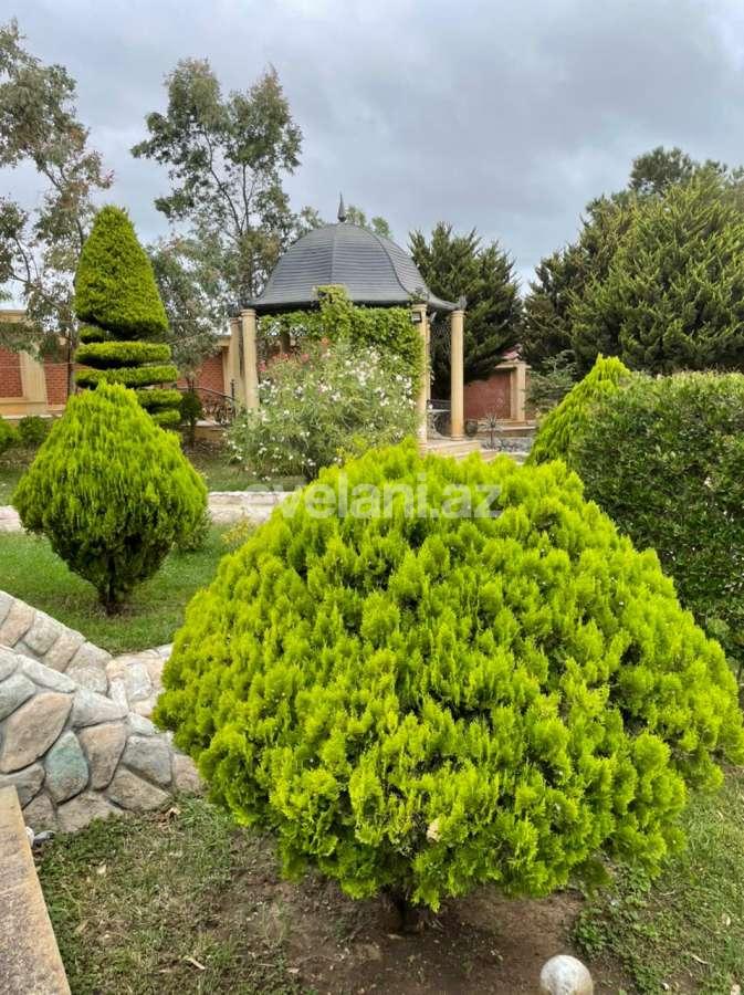 Rent, villa, 6 room, 350 m², Novkhani d.