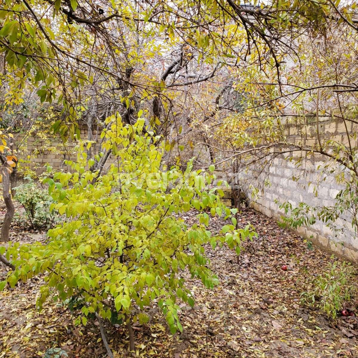 Satılır, həyət evi / bağ, 3 otaqlı, 100 m², 9-cu mikrorayon q.