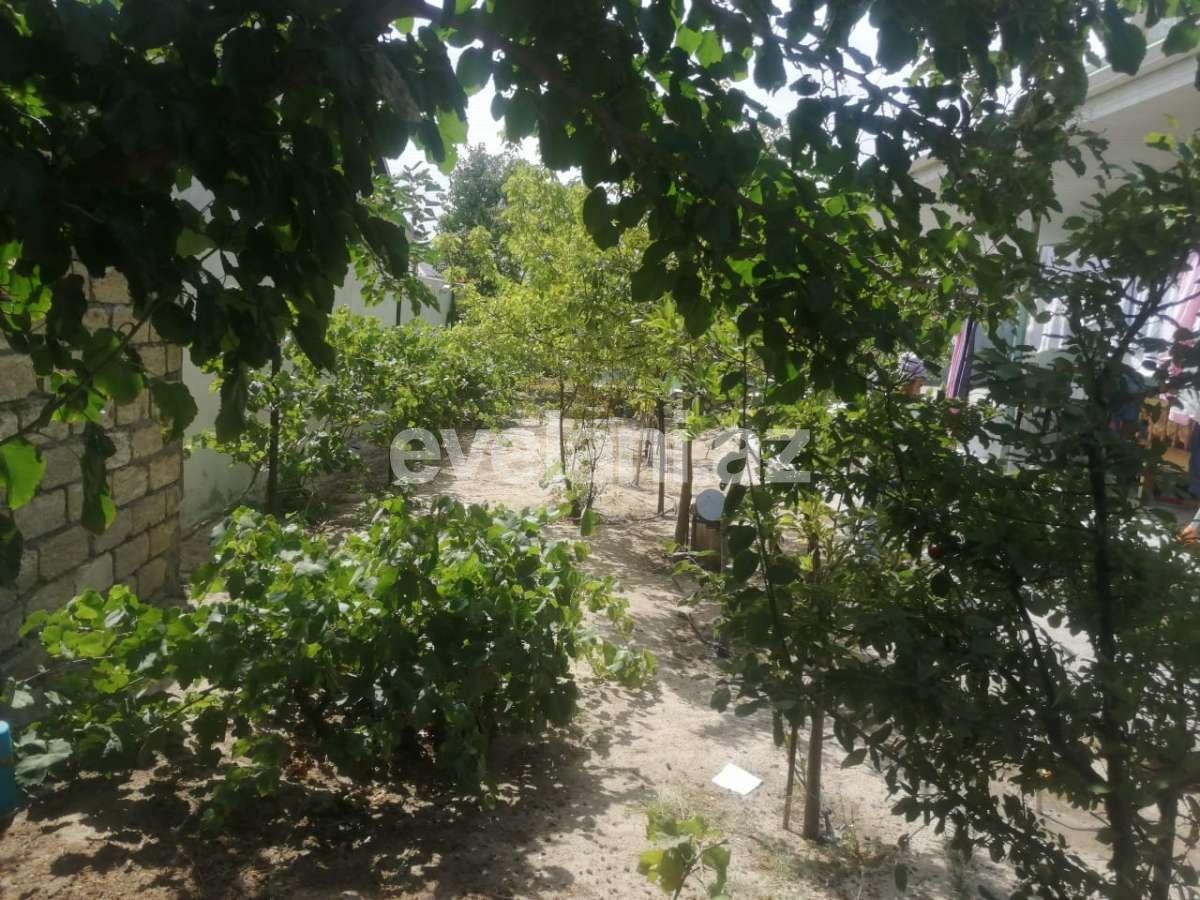 Satılır, həyət evi / bağ, 7 otaqlı, 280 m², Novxanı q.