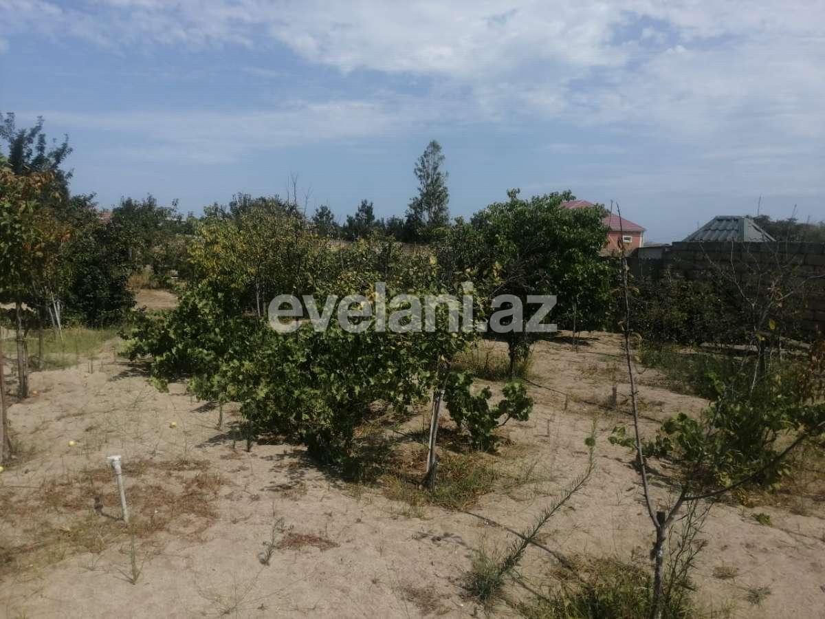 Satılır, həyət evi / bağ, 7 otaqlı, 280 m², Novxanı q.