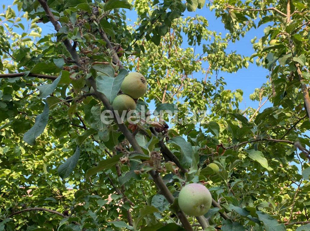 Продаётся, дом / дача, 5-комнаты, 297 m², Биладжары p.