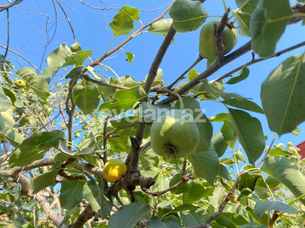 Продаётся, дом / дача, 5-комнаты, 297 m², Биладжары p.