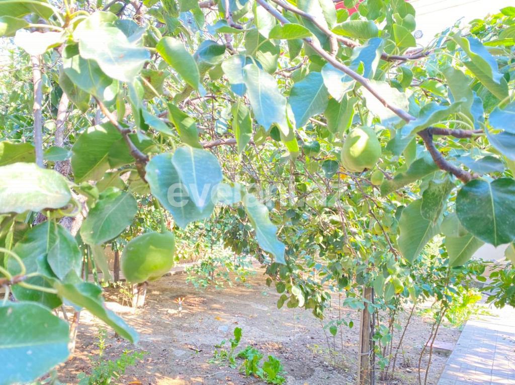 Продаётся, дом / дача, 5-комнаты, 297 m², Биладжары p.