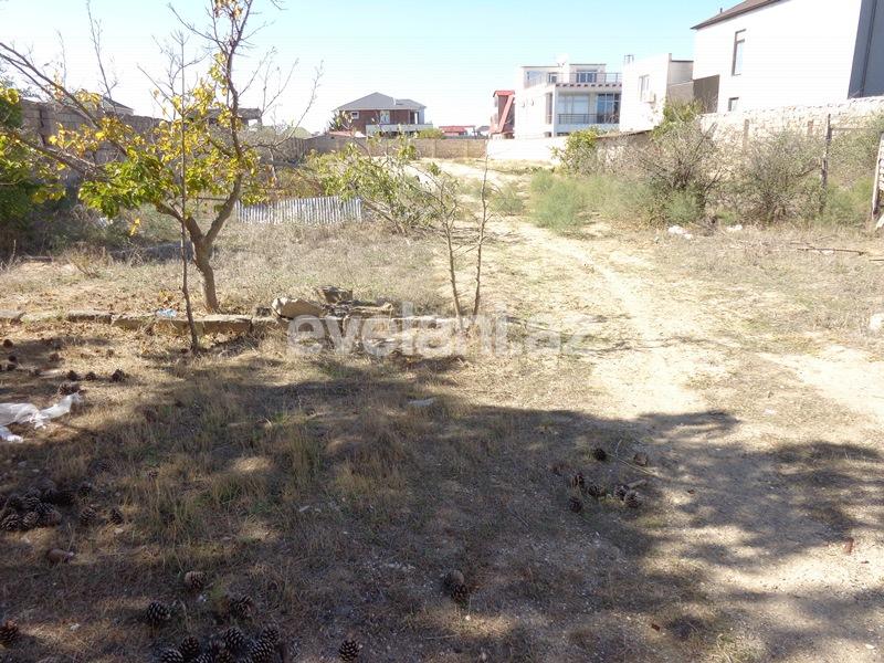 Продаётся, участок, 30 сот, Мардакан p.