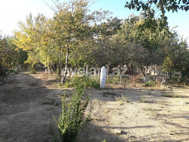 Sale, land, 28 ar, Avtovagzal m.