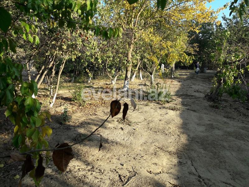 Sale, land, 28 ar, Avtovagzal m.