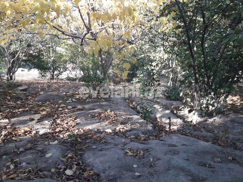 Sale, land, 28 ar, Avtovagzal m.