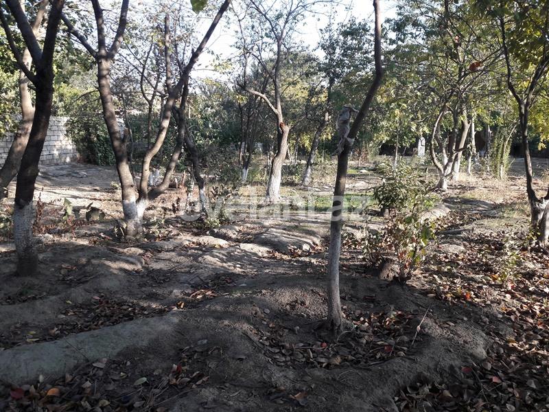 Sale, land, 28 ar, Avtovagzal m.