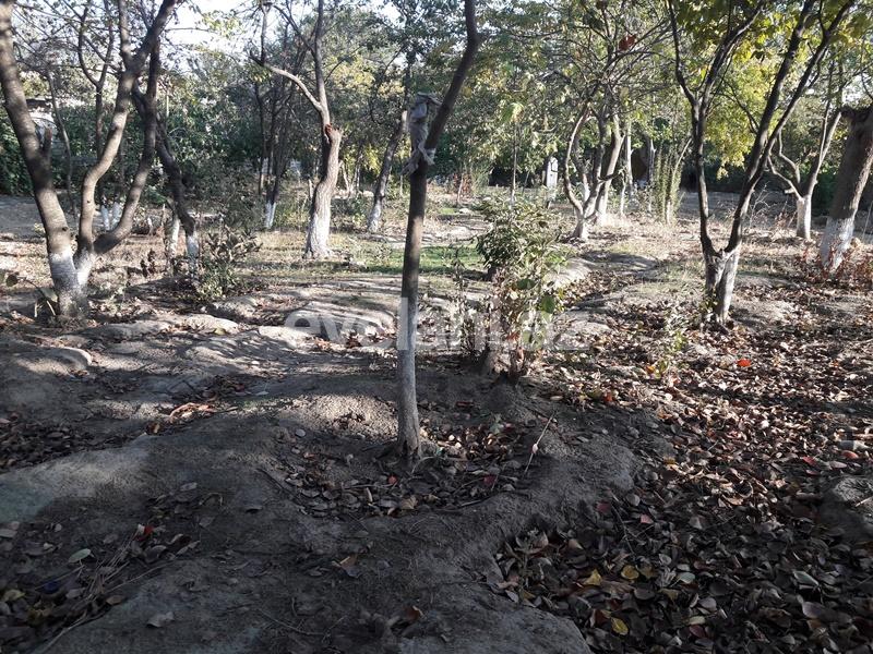 Sale, land, 28 ar, Avtovagzal m.