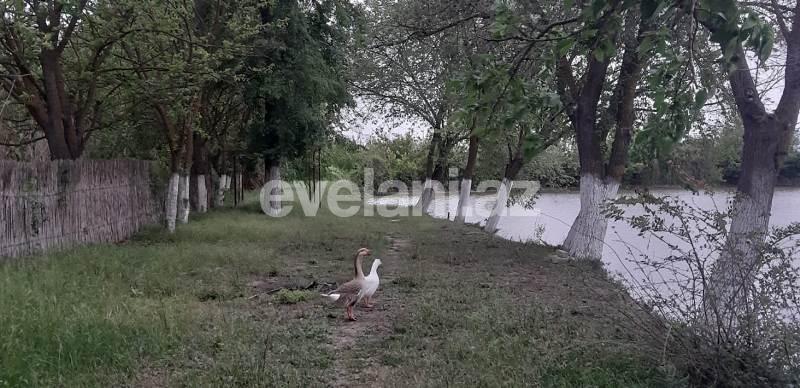 Satılır, obyekt, 1500 m², Kürdəmir