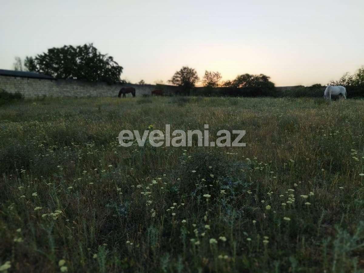 Satılır, torpaq, 14 sot, Quba