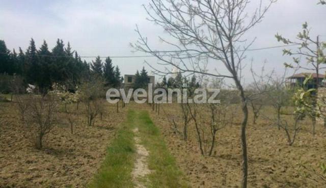 Satılır, torpaq, 100 sot, Nardaran q.