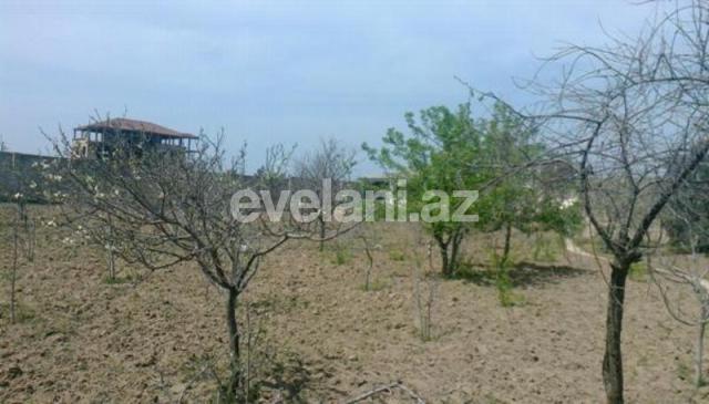 Satılır, torpaq, 100 sot, Nardaran q.