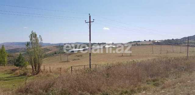 Satılır, obyekt, 160 m², Şamaxı