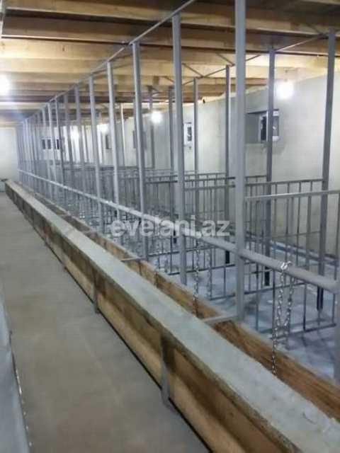 Satılır, obyekt, 160 m², Şamaxı