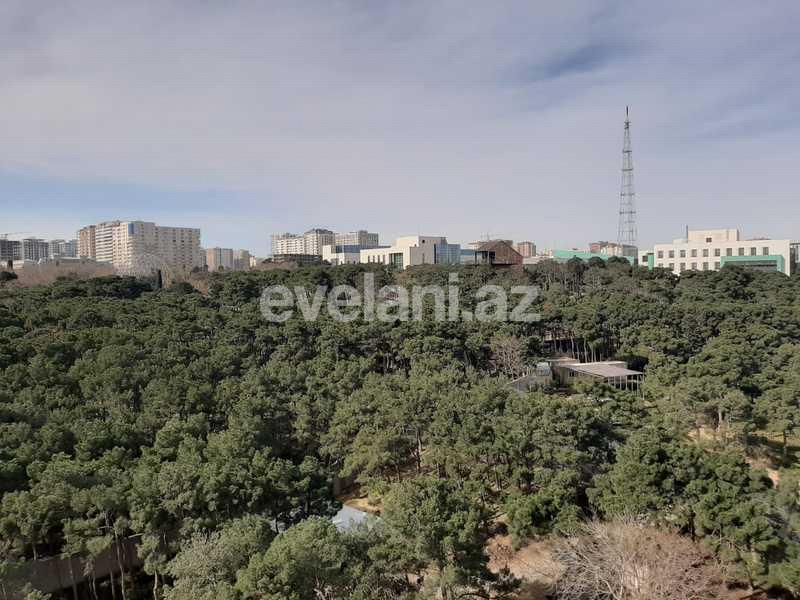 Rent, new building, 3 room, 170 m², Narimanov r.