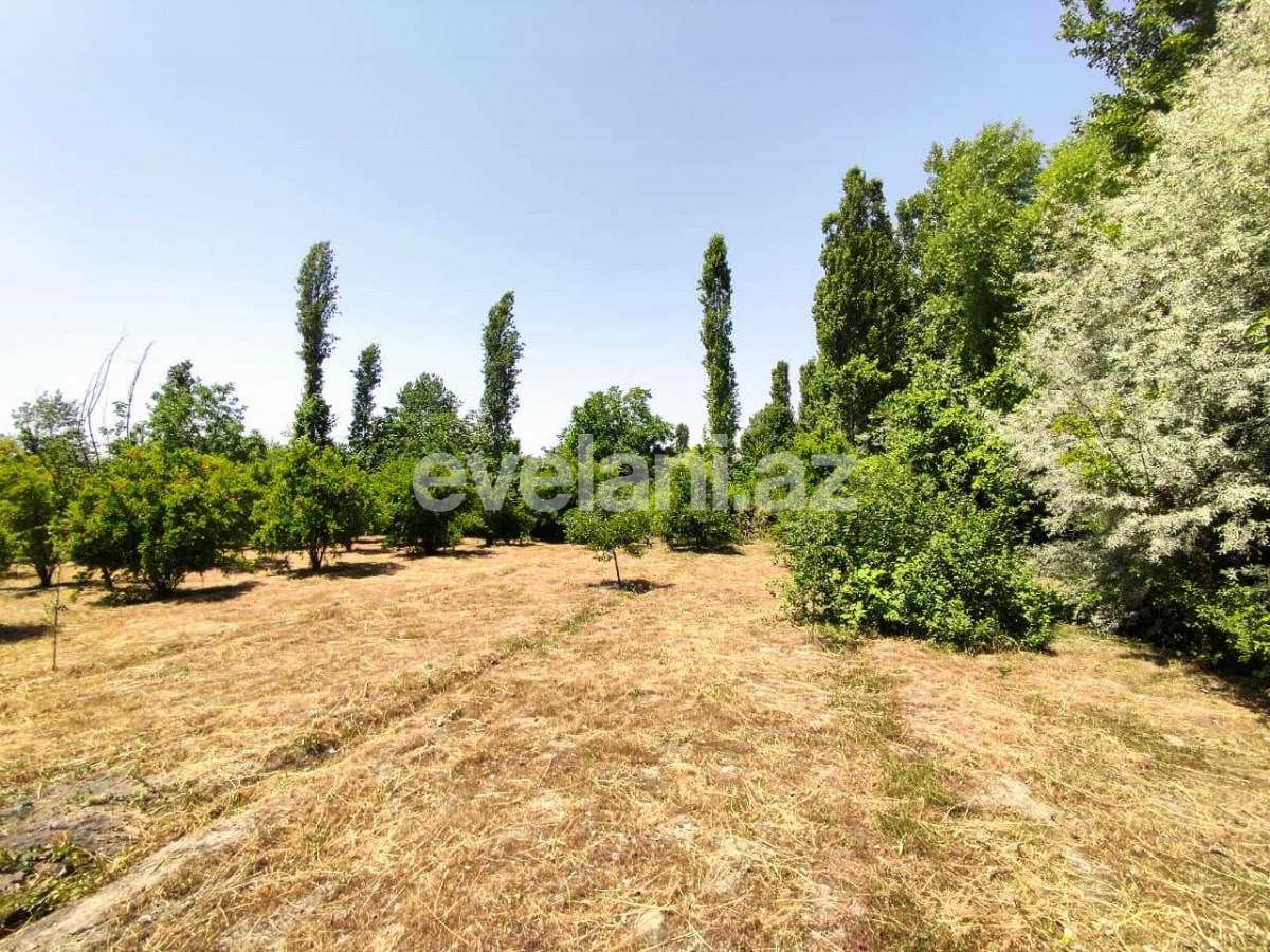 Satılır, torpaq, 28 sot, Göyçay