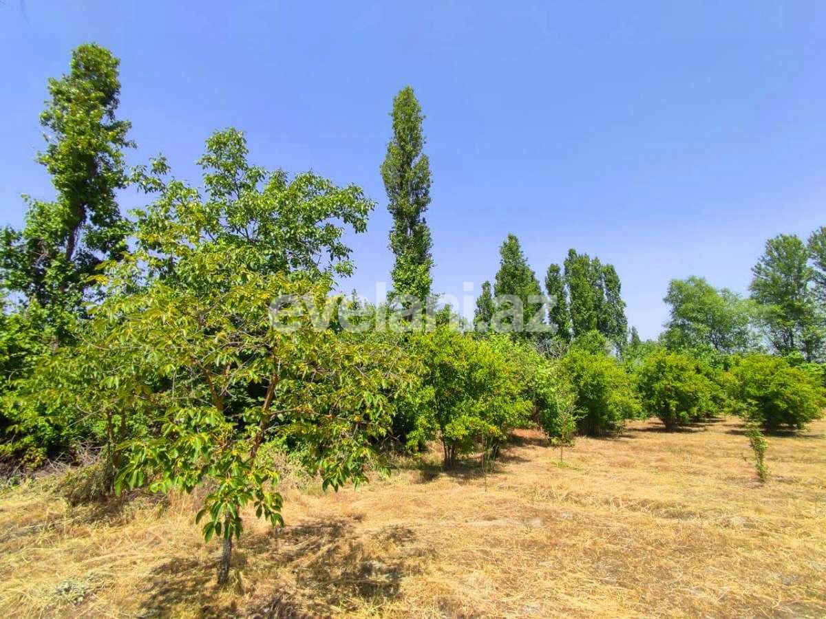 Satılır, torpaq, 28 sot, Göyçay