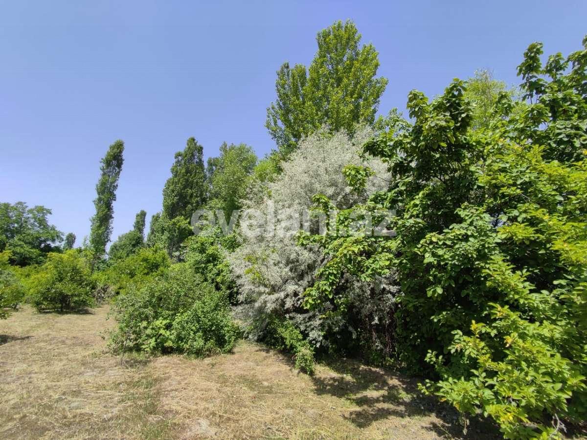 Satılır, torpaq, 28 sot, Göyçay