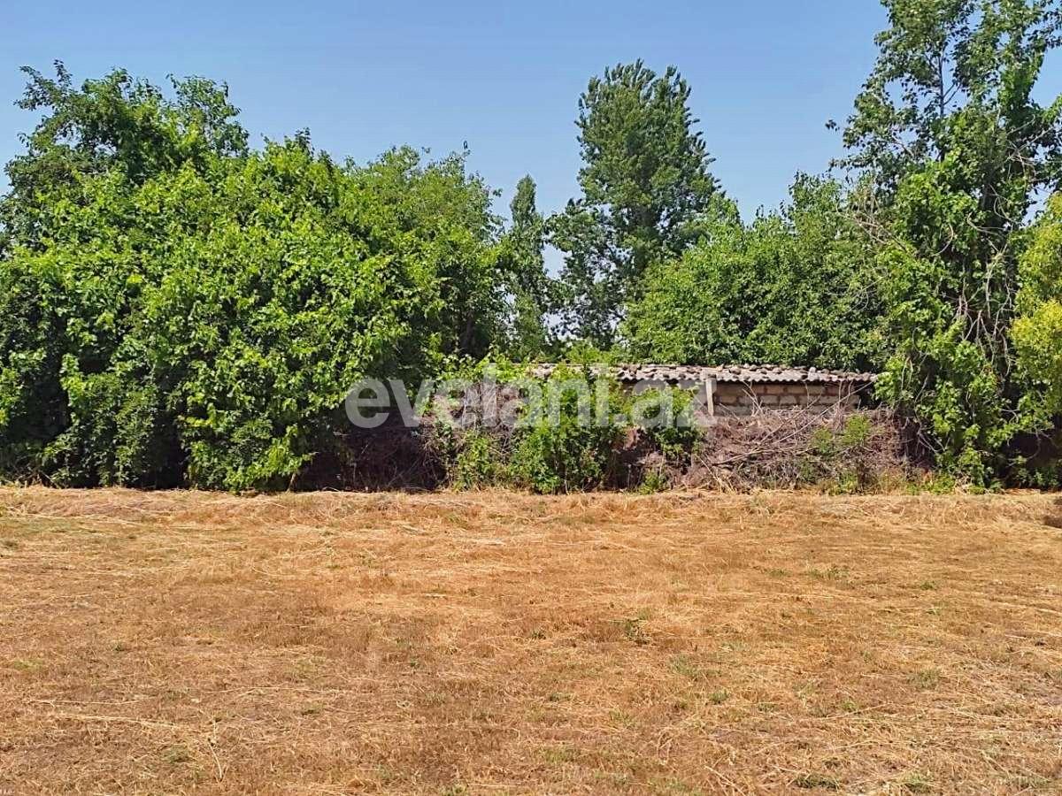 Satılır, torpaq, 28 sot, Göyçay