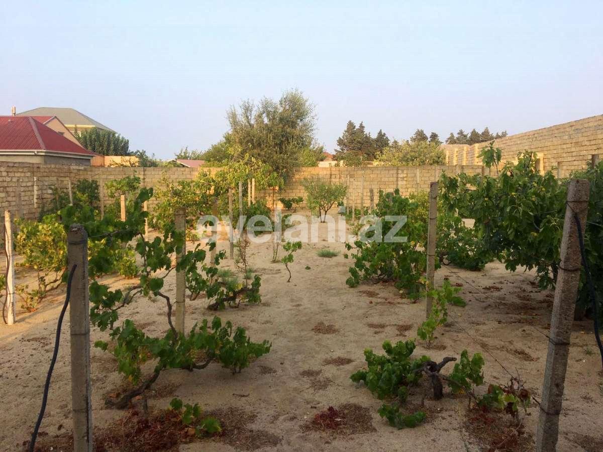 Sale, garden / house, 5 room, 250 m², Novkhani d.