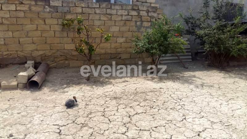 Sale, garden / house, 6 room, 120 m², Masazir d.