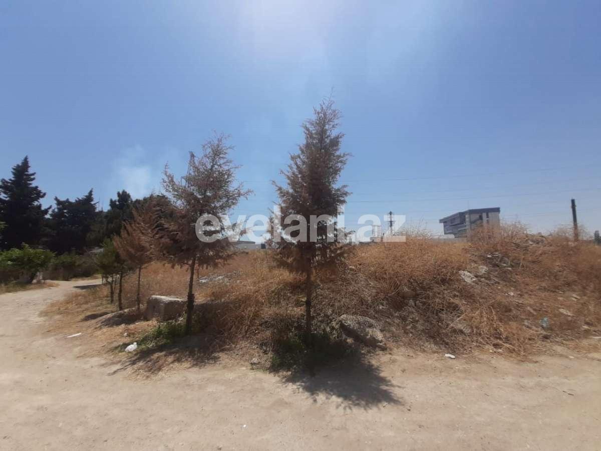 Sale, land, 30 ar, Nizami r.